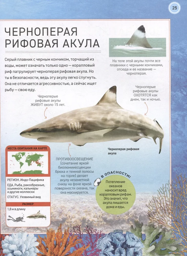 Подводный мир. Полная энциклопедия