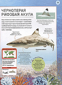 Подводный мир. Полная энциклопедия