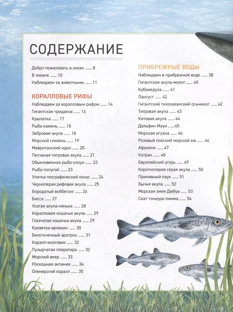 Подводный мир. Полная энциклопедия