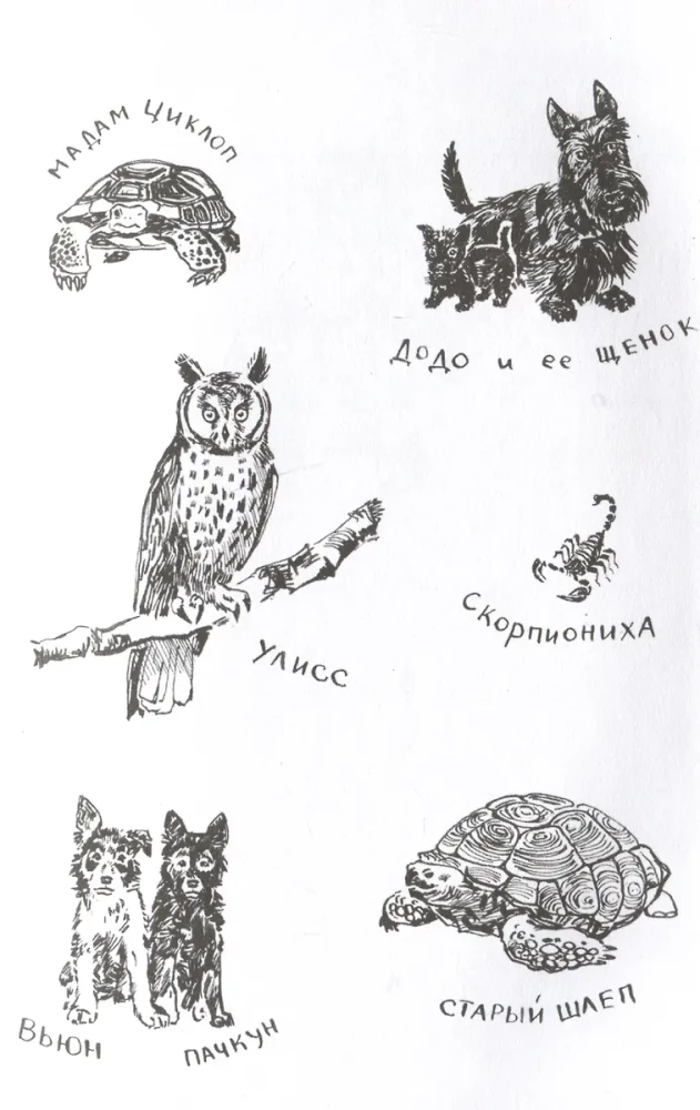 Moja rodzina i inne zwierzęta