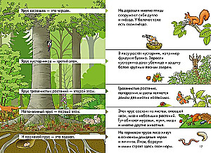Comics with Connie. Forest Detectives