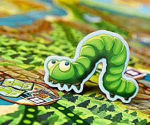 Board Game - Maple Valley