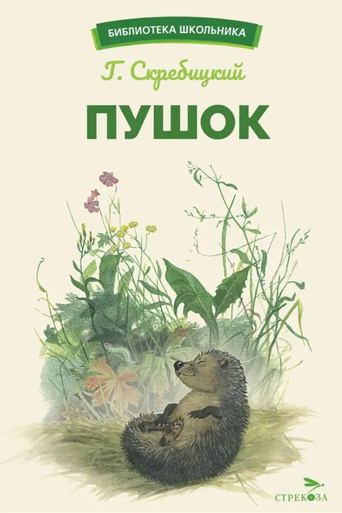 Pūšis