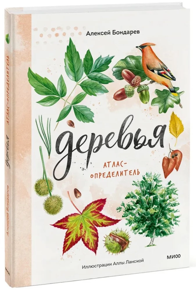 Деревья. Атлас-определитель
