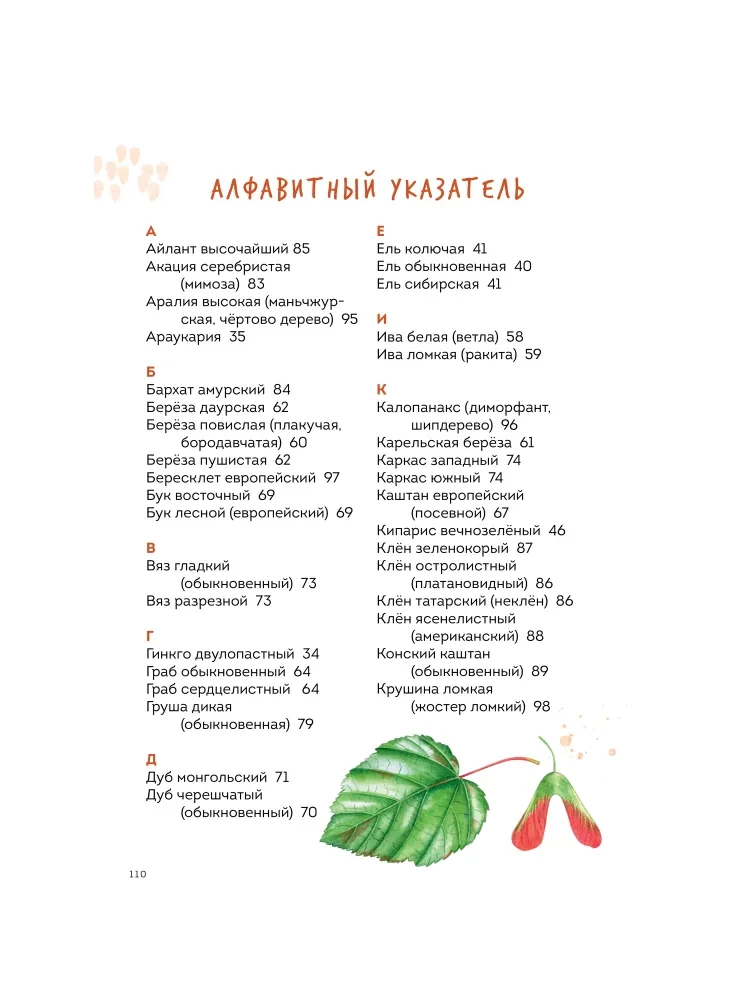Деревья. Атлас-определитель