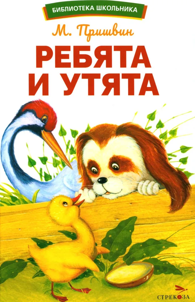 Chłopcy i kaczki