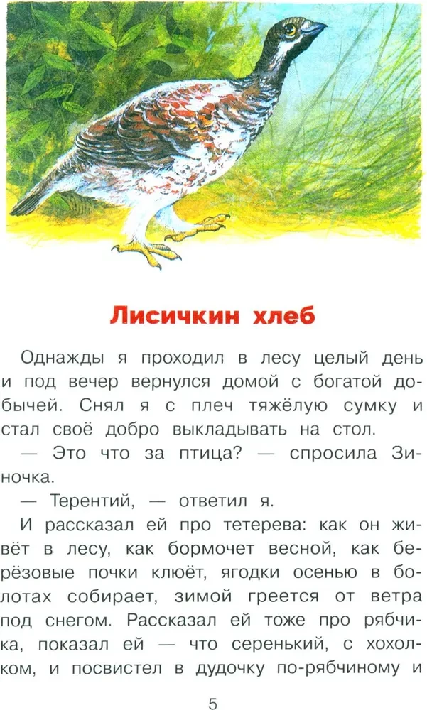 Guys and Ducklings