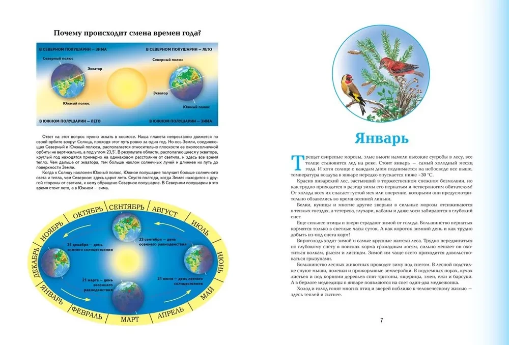 Seasons. Illustrated Encyclopedia