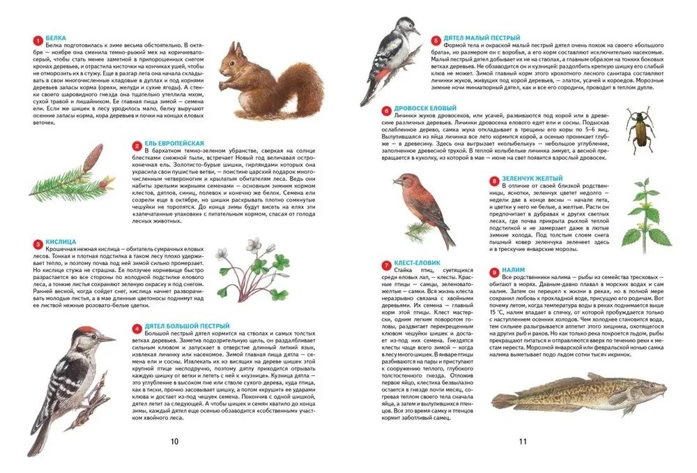 Seasons. Illustrated Encyclopedia