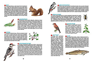 Seasons. Illustrated Encyclopedia
