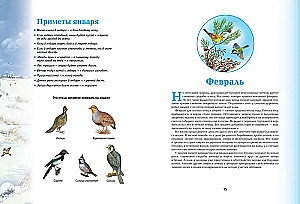 Seasons. Illustrated Encyclopedia
