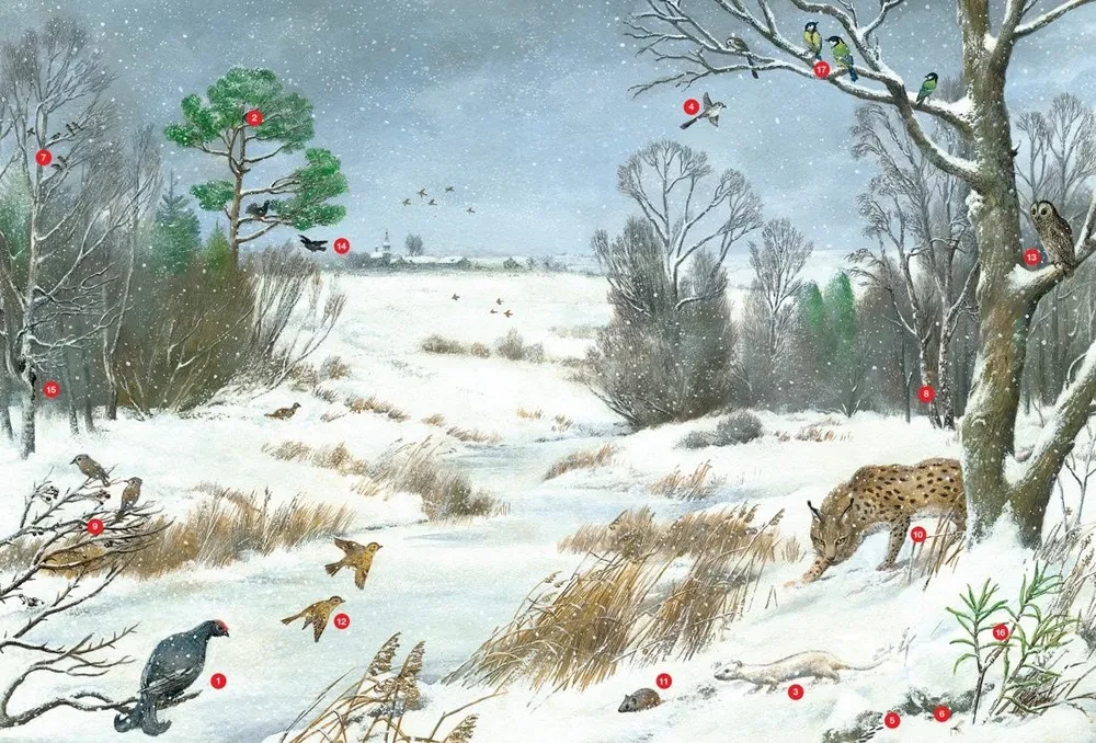 Seasons. Illustrated Encyclopedia