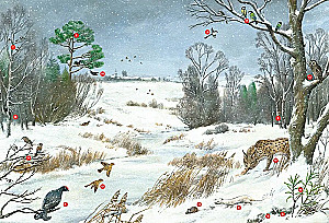 Seasons. Illustrated Encyclopedia