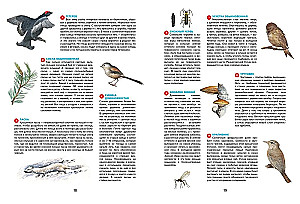 Seasons. Illustrated Encyclopedia