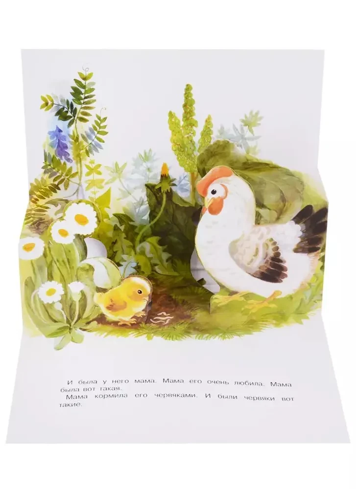 Pop-up Book. Chick