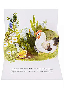 Pop-up Book. Chick