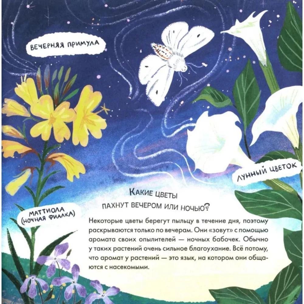 Hints in the Fairy Tale. Where is My Star?