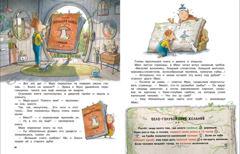 Max, Muks and the Mushroom of Wishes