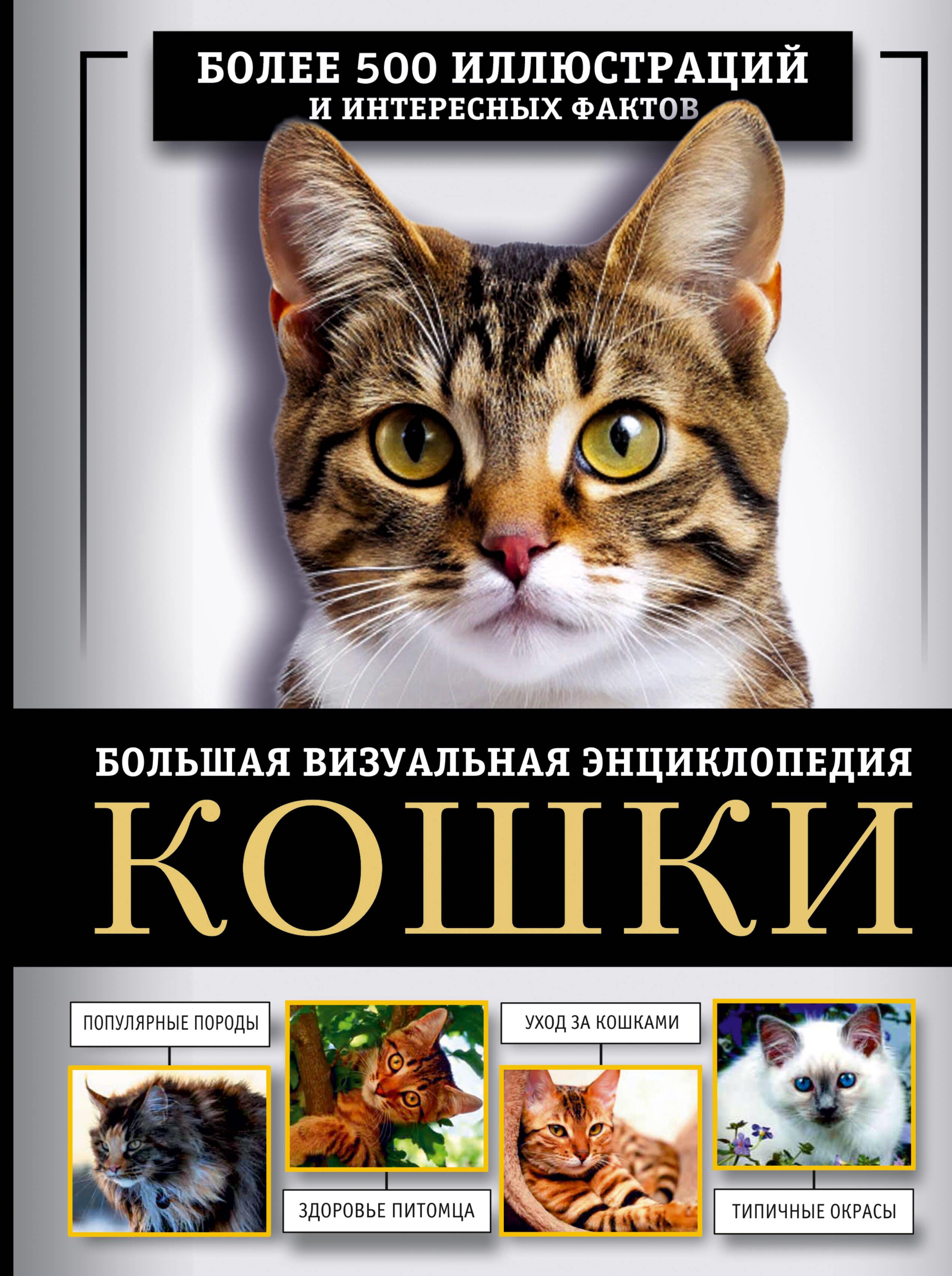 Кошки. Большая визуальная книгаиклопедия