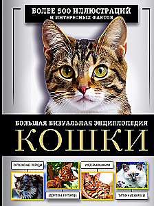 Kotki. Duża wizualna encyklopedia