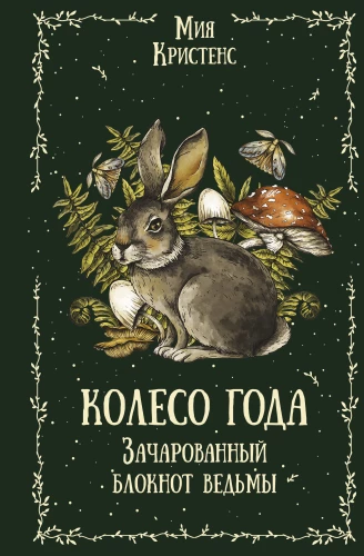 Wheel of the Year. The Enchanted Witch's Notebook
