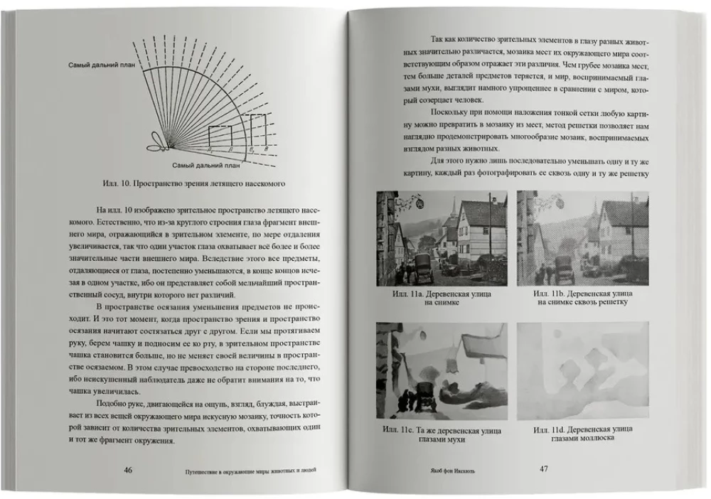 Journey into the Surrounding Worlds of Animals and Humans. Theory of Meaning