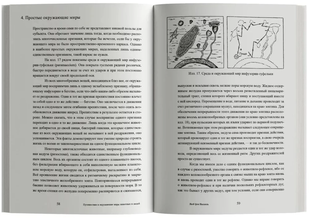 Journey into the Surrounding Worlds of Animals and Humans. Theory of Meaning