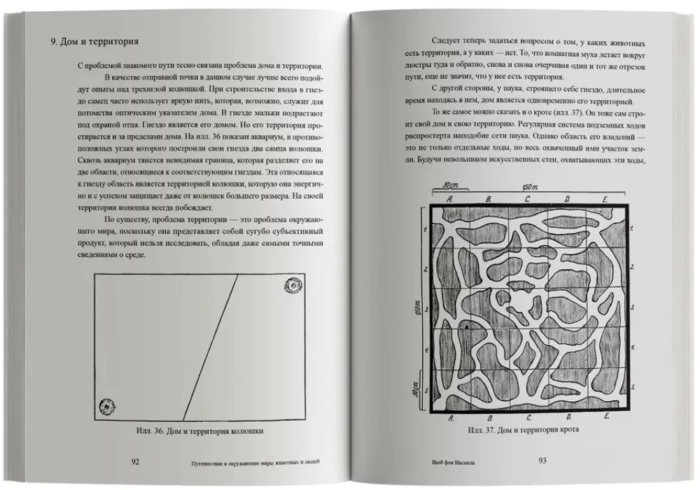 Journey into the Surrounding Worlds of Animals and Humans. Theory of Meaning