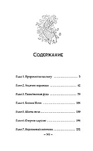 Зеркальные города-близнецы. Книга 1
