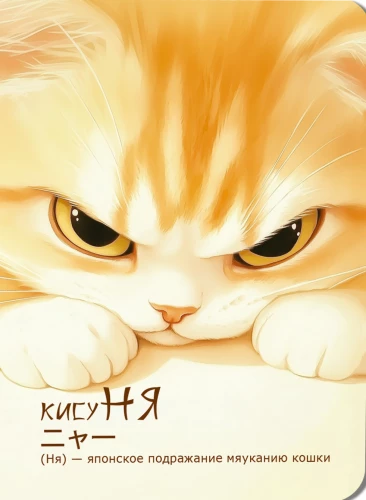 Notebook KisuNYA (cat frowning)