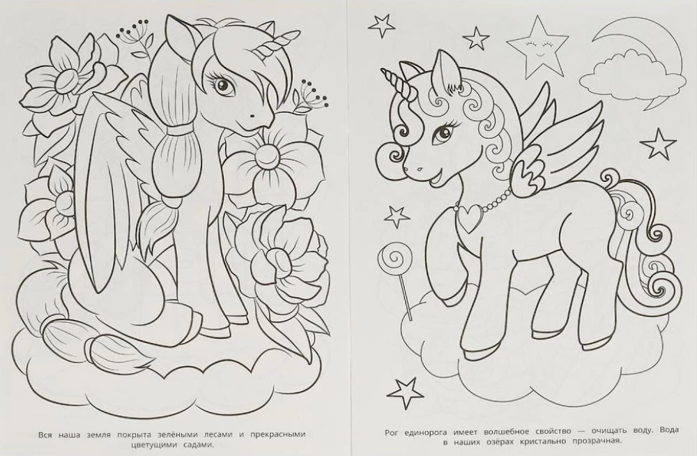 The Kingdom of Unicorns