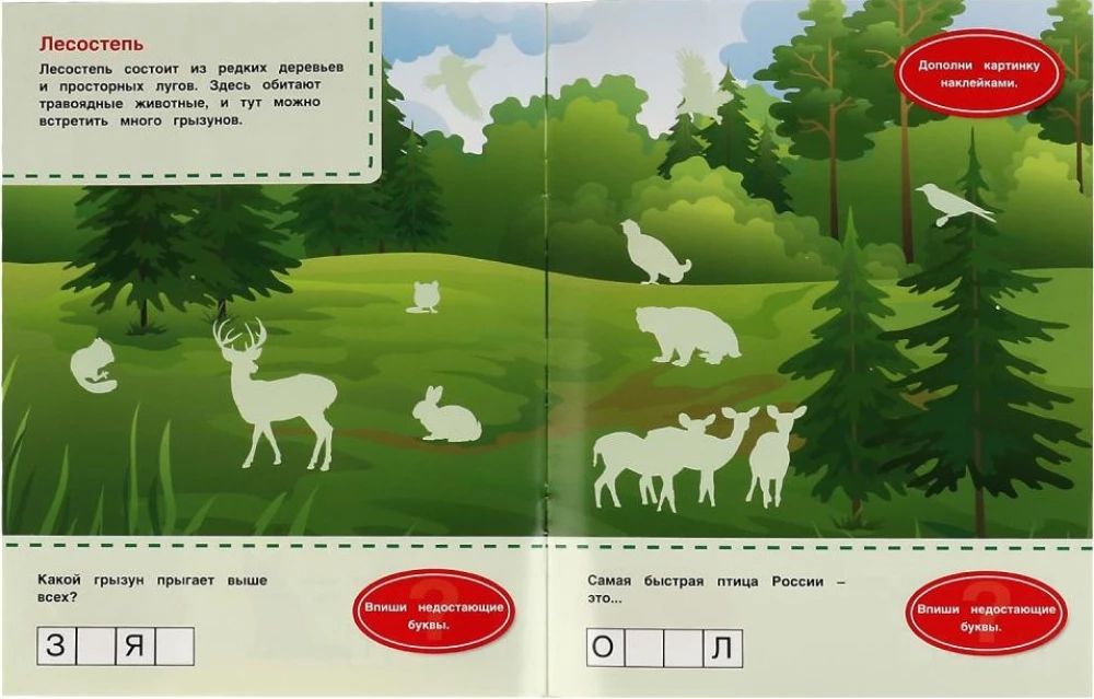 Forest Animals. Favorite Sticker Book.
