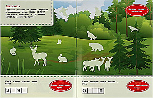 Forest Animals. Favorite Sticker Book.