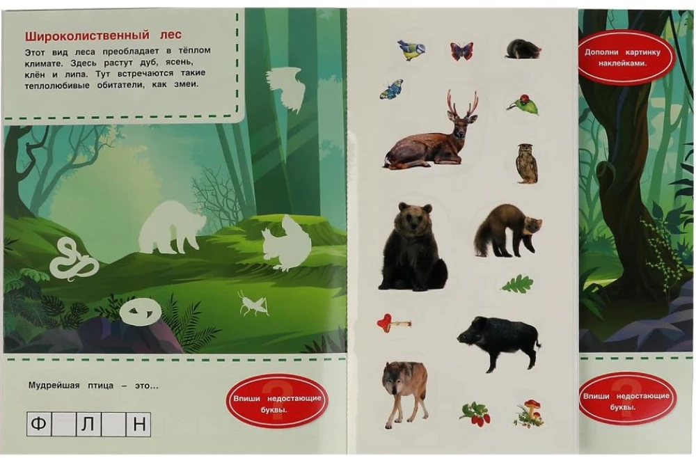 Forest Animals. Favorite Sticker Book.