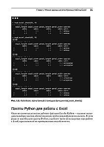 Excel z Pythonem i R: odkryj potencjał zaawansowanego przetwarzania i wizualizacji danych
