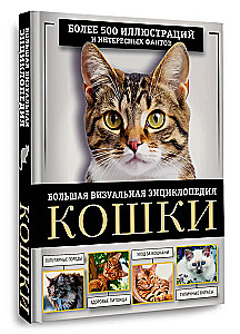 Kotki. Duża wizualna encyklopedia