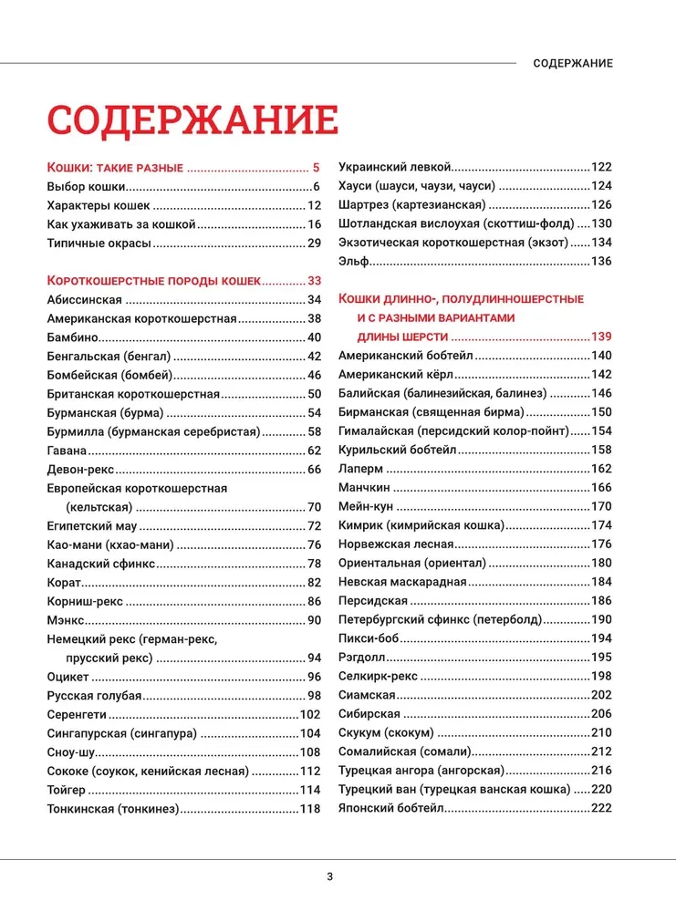 Kotki. Duża wizualna encyklopedia