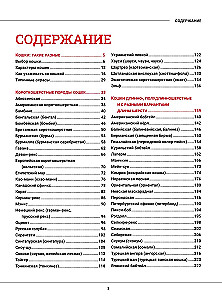 Kotki. Duża wizualna encyklopedia