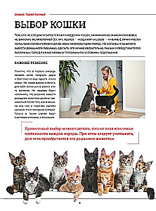 Kotki. Duża wizualna encyklopedia