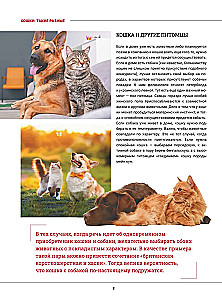 Kotki. Duża wizualna encyklopedia