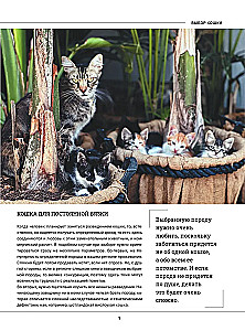 Kotki. Duża wizualna encyklopedia