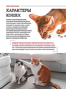 Kotki. Duża wizualna encyklopedia