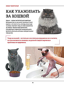 Kotki. Duża wizualna encyklopedia