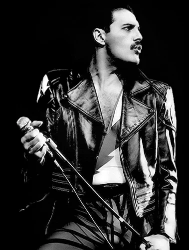 Painting by numbers - Freddie Mercury