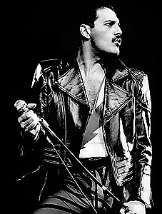 Obraz po numerach - Freddie Mercury