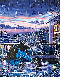 Paint by Numbers - Walk in the Rain