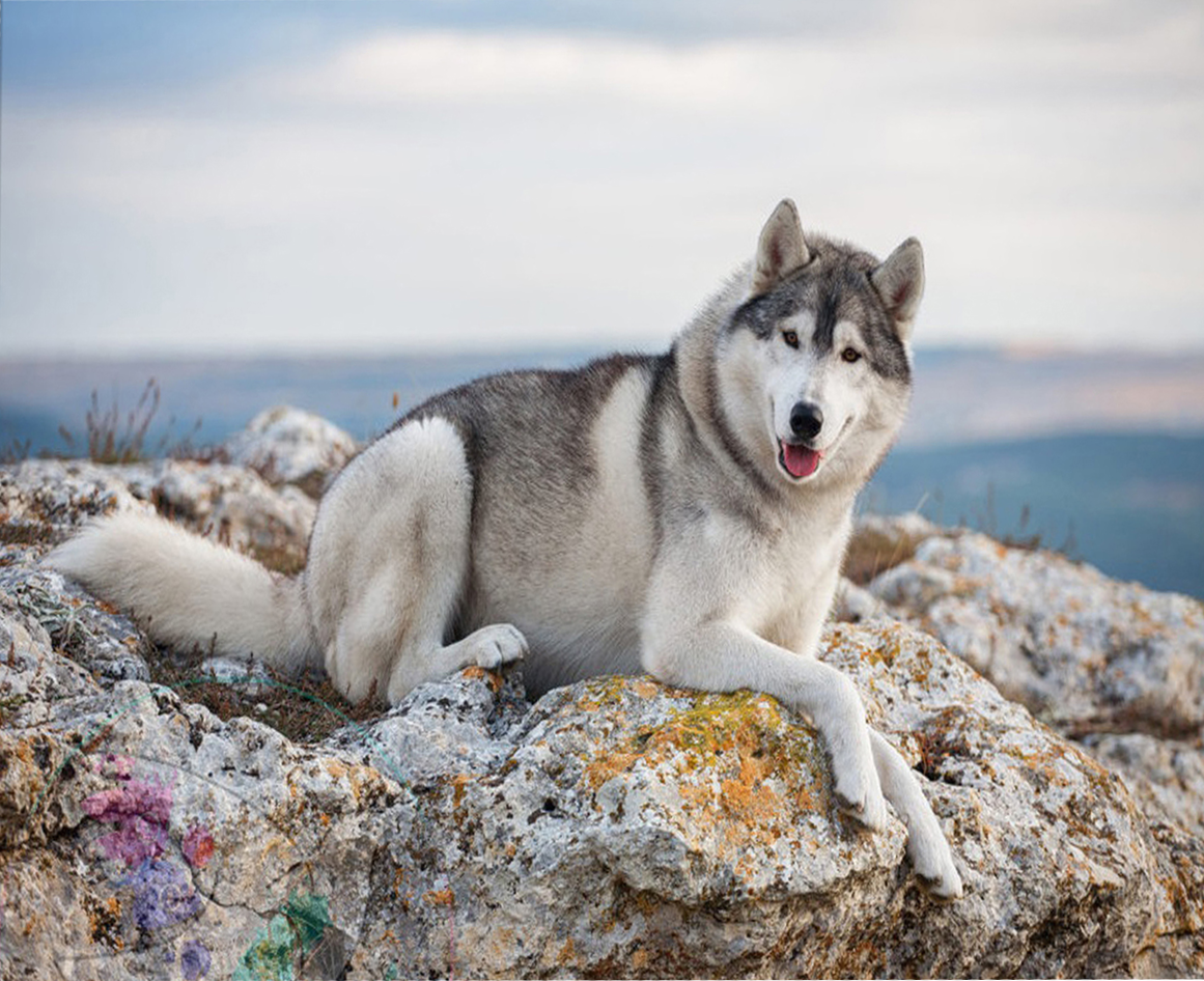 Diamantmosaik 3D mit aufgedrucktem Rahmen - Am Meer