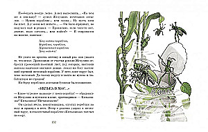 Eight Magical Acorns, or the Adventures of Zheludino and his Younger Brothers
