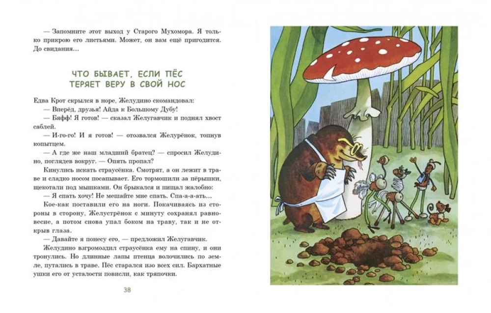 Eight Magical Acorns, or the Adventures of Zheludino and his Younger Brothers
