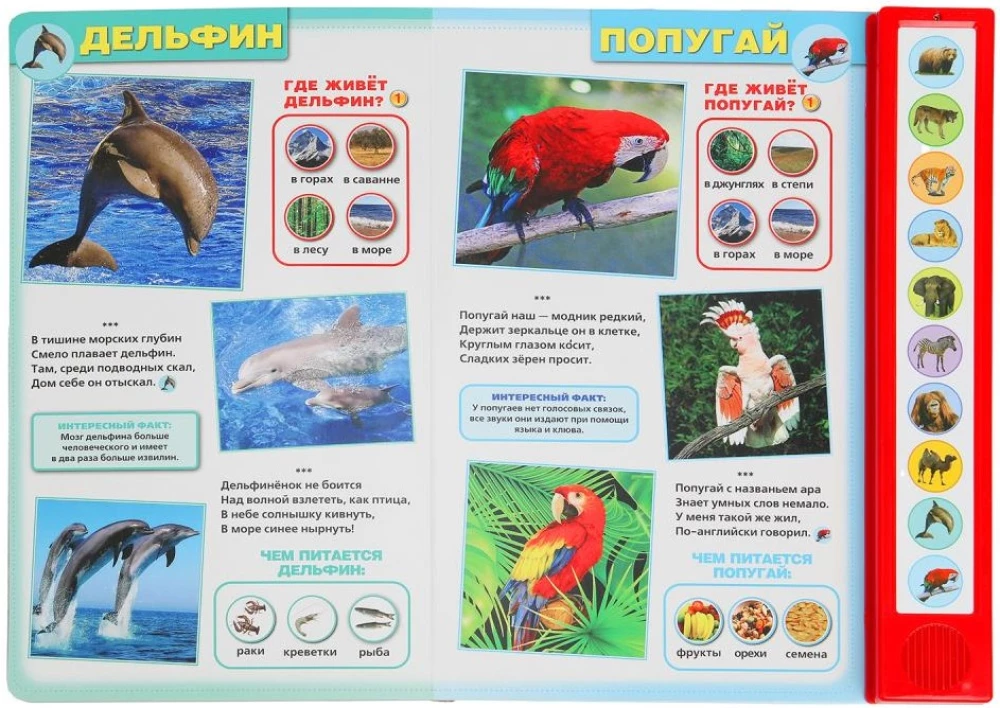 Wild Animals